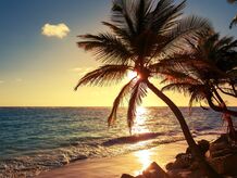 Beach with palm trees at sunset
